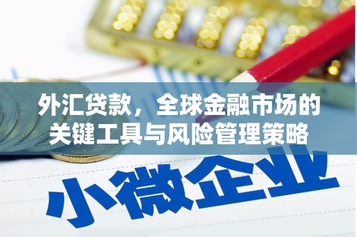 柳河外汇贷款，全球金融市场的关键工具与风险管理策略