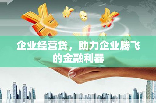 柳河企业经营贷，助力企业腾飞的金融利器