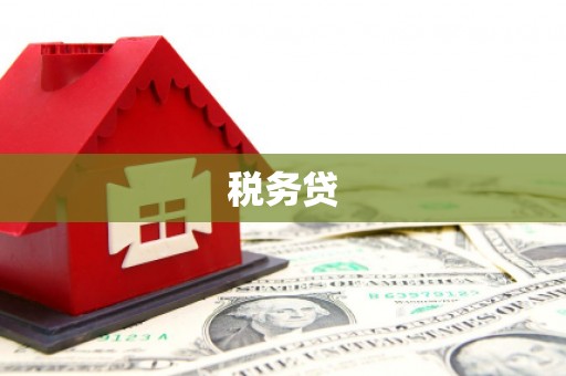 柳河税务贷