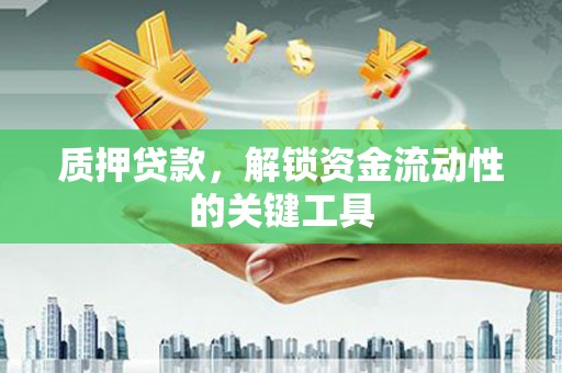 柳河质押贷款，解锁资金流动性的关键工具