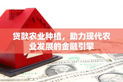 柳河贷款农业种植，助力现代农业发展的金融引擎