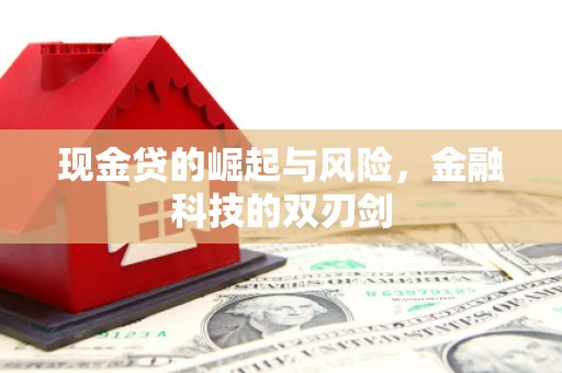 柳河现金贷的崛起与风险，金融科技的双刃剑