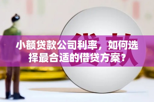 柳河小额贷款公司利率，如何选择最合适的借贷方案？