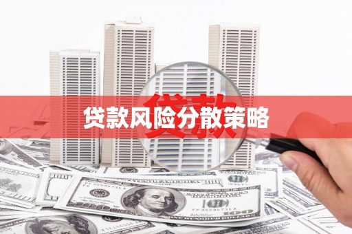 柳河贷款风险分散策略