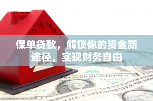 柳河保单贷款，解锁你的资金新途径，实现财务自由