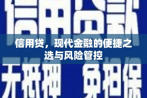 柳河信用贷，现代金融的便捷之选与风险管控