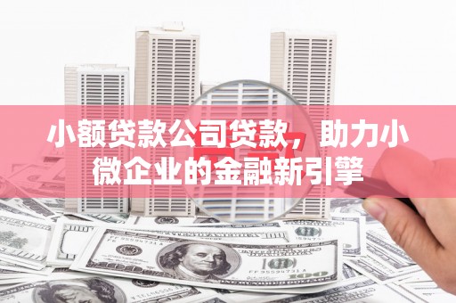 柳河小额贷款公司贷款，助力小微企业的金融新引擎