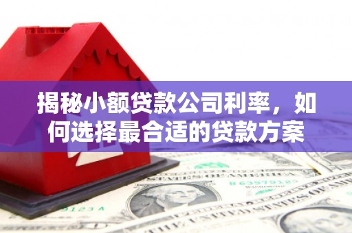 柳河揭秘小额贷款公司利率，如何选择最合适的贷款方案