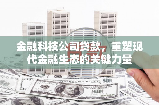 柳河金融科技公司贷款，重塑现代金融生态的关键力量