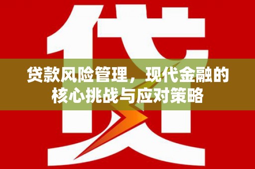 柳河贷款风险管理，现代金融的核心挑战与应对策略