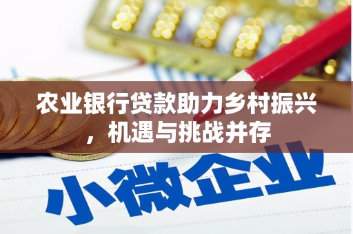柳河农业银行贷款助力乡村振兴，机遇与挑战并存