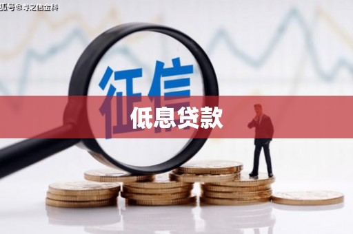 柳河低息贷款