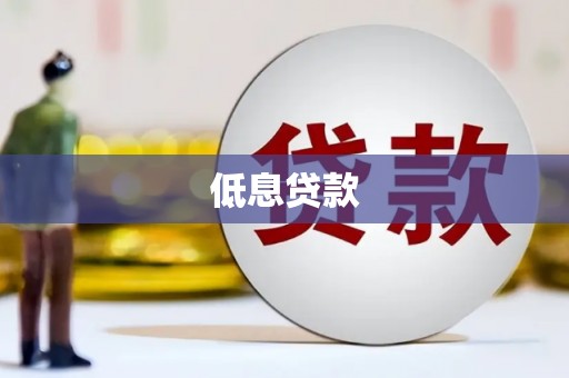 柳河低息贷款