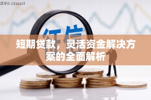 柳河短期贷款，灵活资金解决方案的全面解析