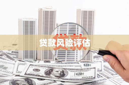 柳河贷款风险评估