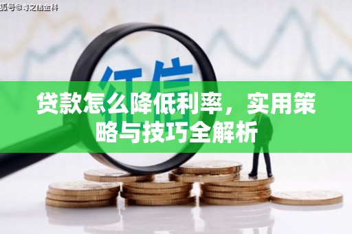 柳河贷款怎么降低利率，实用策略与技巧全解析