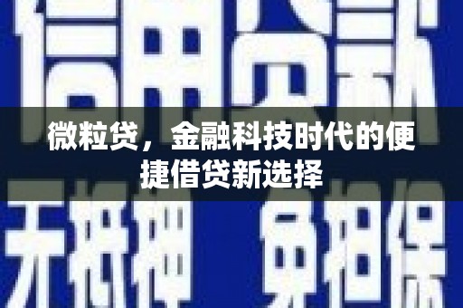 柳河微粒贷，金融科技时代的便捷借贷新选择