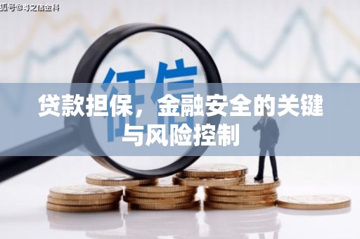 柳河贷款担保，金融安全的关键与风险控制