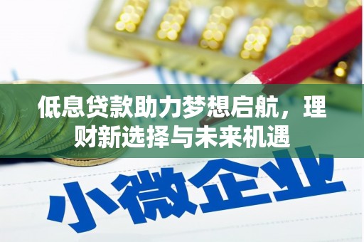 柳河低息贷款助力梦想启航，理财新选择与未来机遇