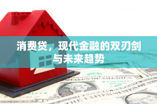 柳河消费贷，现代金融的双刃剑与未来趋势
