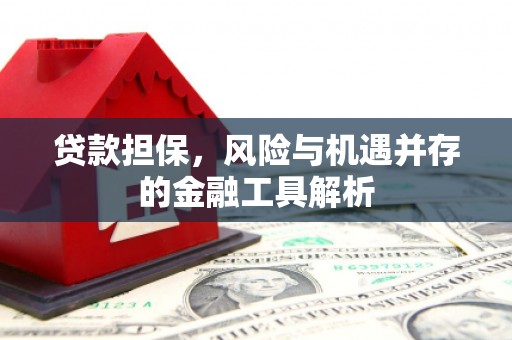 柳河贷款担保，风险与机遇并存的金融工具解析