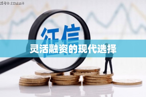 柳河灵活融资的现代选择