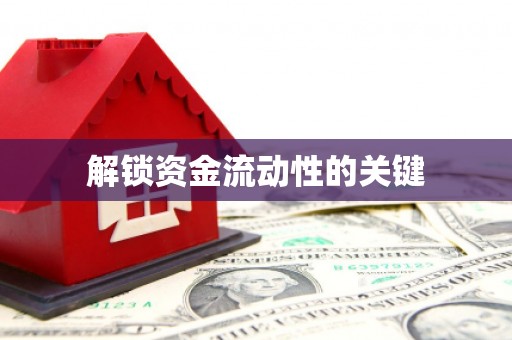 柳河解锁资金流动性的关键