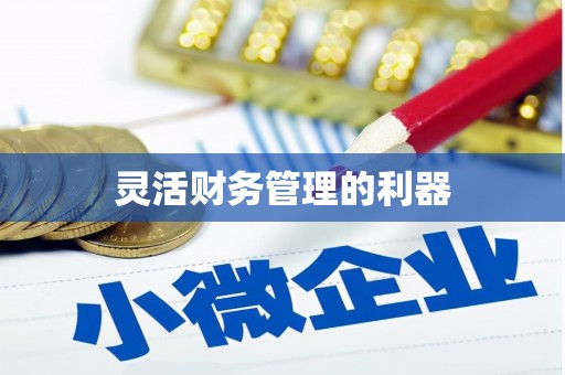 柳河灵活财务管理的利器
