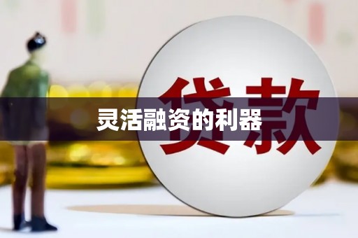 柳河灵活融资的利器