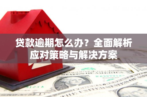柳河贷款逾期怎么办？全面解析应对策略与解决方案