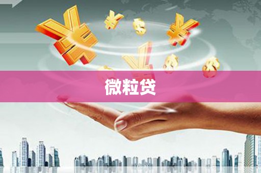 柳河微粒贷