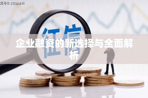 柳河企业融资的新选择与全面解析