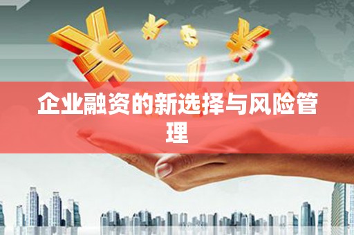 柳河企业融资的新选择与风险管理