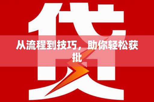 柳河从流程到技巧，助你轻松获批