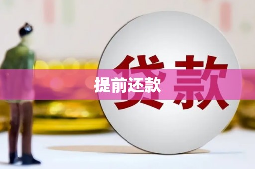 柳河提前还款