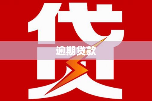 柳河逾期贷款
