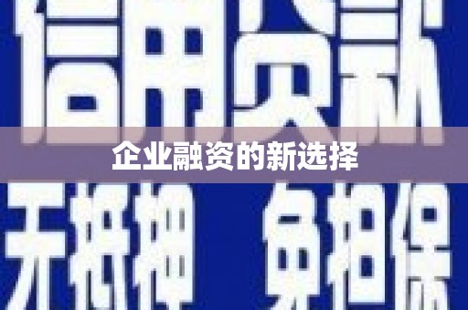 柳河企业融资的新选择