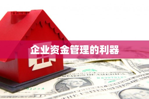 柳河企业资金管理的利器