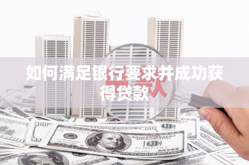 柳河如何满足银行要求并成功获得贷款