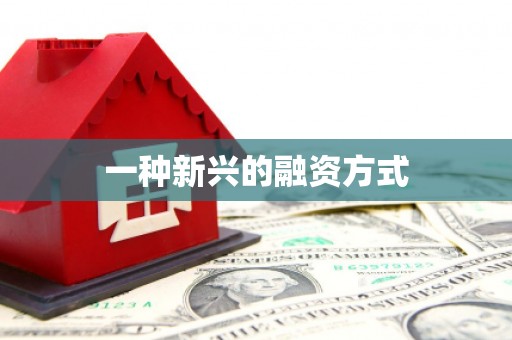 柳河一种新兴的融资方式